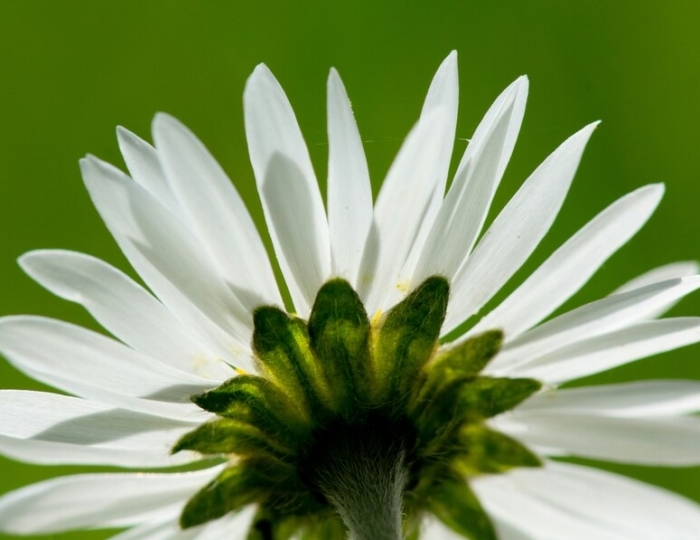 Базовая лечебная программа - Санаторий «Горячий ключ» Пятигорск