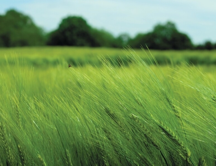 Лечебно-профилактическая программа - Санаторий «Горячий ключ» Пятигорск